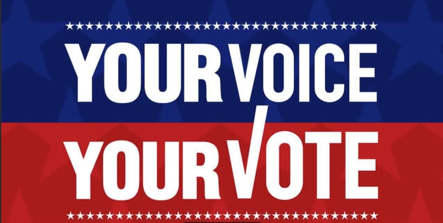 2026 Democratic Primary Election