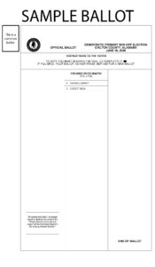 June 16th 2026 Democratic Primary Runoff Sample Ballot