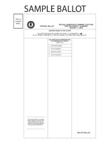 August 11th 2026 Special Election Sample Ballot