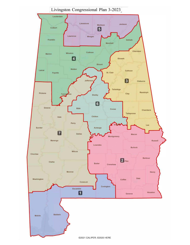Upcoming Special Election on August 11!